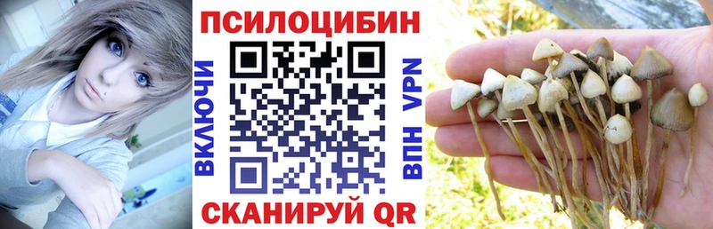 Псилоцибиновые грибы MAGIC MUSHROOMS  где можно купить   Кондрово 